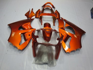 00-02 Orange Kawasaki ZX6R Motorrad Verkleidungen